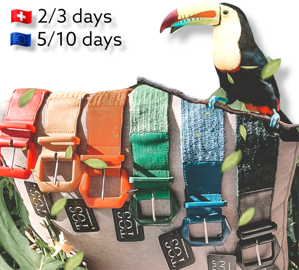 Cinturón Elástico Colores  | Colors Elastic Belts-50sale,belt,cinturon,cinturon exclusivo,envio europa,envio rapido,envio suiza,envios rapidos,exclusivo,gürtel,rebajas noviembre,sale50